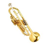 Standard Brass Trumpet instrument silver-plated gold brass trumpet concert set (Color : Gold)