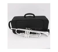 Standard Brass Trumpet Instrument Silver Plated Professional Music Collection