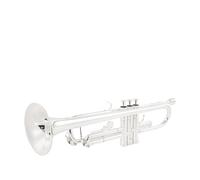 Standard Brass Trumpet instrument TLSM-8335GS gold silver-plated phosphor bronze beginner grade test(Color:Silver)