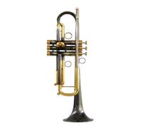 Standard Brass Trumpet instrument TLSM-8335GS gold silver-plated phosphor bronze beginner grade test(Color:Bronze)