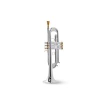 Standard Brass Trumpet instrument TLSM-8335GS gold silver-plated phosphor bronze beginner grade test(Color:Multi-colored)