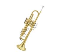 Standard Brass Trumpet instrument wind instrument all-copper trumpet B-flat trumpet