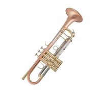 Standard Brass Trumpet Phosphor Bronze Brushed Professional Performance Grade Professional Trumpet B Flat Beginner Trumpet Instrument