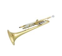 Standard Brass Trumpet standard type white copper pitch-changing tube body two-color lacquered gold B flat trumpet