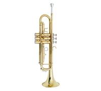 Standard Brass Trumpet three-note brass instrument in B-flat entry-level examination for beginners and professional performance