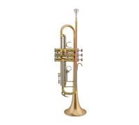 Standard Brass Trumpet trinote Bb B flat wind band trumpet instrument