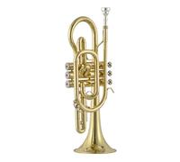 Standard Brass Trumpetcornet jazz instrument trumpet