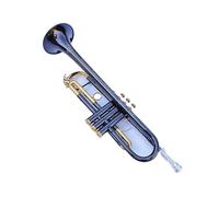 Standard Brass Unique Musical Trumpet Bb B Flat Brass Trombone Exquisite Instrument with Mouthpiece Gloves and Box