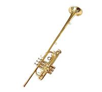 Standard Brass Western brass B-flat trumpet instrument with full phosphorus surface for student beginners and adult band