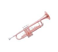 Standard Brass Western brass B-flat trumpet instrument with full phosphorus surface for student beginners and adult band