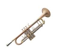 Standard Brass Western phosphor bronze brushed weighted trumpet instrument in B flat for students and beginners