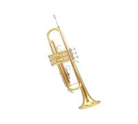 Standard Brass White copper pitch-changed trumpet instrument entry-level B flat student school orchestra