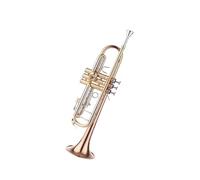 Standard Brass White copper single-tube trumpet instrument B flat trumpet lacquered gold copper tube