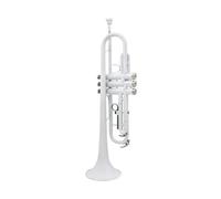 Standard Brass White trumpet Bb flat brass material music trumpet with mouthpiece gloves cleaning cloth box accessories