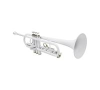 Standard Brass White Trumpet Professional Music Trombone Wind Instrument with Mouthpiece Gloves Cleaning Cloth Strap Case Best Trumpet