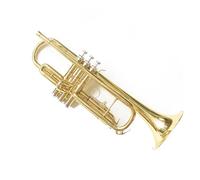 Standard Brass Wind instrument intermediate trumpet exquisite trumpet in B flat
