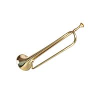 Standard Brass Youth trumpet lacquer gold B flat charge horn brass instrument can be played