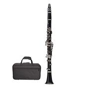 Standard Clarinet Bb Clarinet 17 Keys B Flat Musical Instruments Bakelite Tube Nickel Plated Clarinet Student Clarinet (Color : E 11)