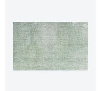 Standard Core Sage Washable Doormat