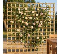 Standard Fence Panel 6ft x 6ft Square Garden Trellis Wooden Screen 5pk