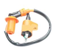 Standard & performance Coil for SYM 50 Allo AC 4T Fancy Fiddle 2 150 Mask 2PIN(High quality)