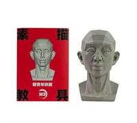Standard Planar Head Model for Artists, Women Men Human Manikin Head, Learn The Planes Of Face, for Artistic Drawing Drawing Skecthing Paintings,Color White, Sculpture Beginner Learn (style2)