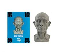 Standard Planar Head Model for Artists, Women Men Human Manikin Head, Learn The Planes Of Face, for Artistic Drawing Drawing Skecthing Paintings,Color White, Sculpture Beginner Learn (style3)