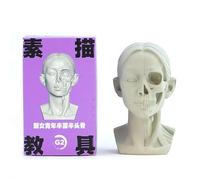Standard Planar Head Model for Artists, Women Men Human Manikin Head, Learn The Planes Of Face, for Artistic Drawing Drawing Skecthing Paintings,Color White, Sculpture Beginner Learn (style12)