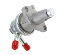 Standard Size Fuel Pump 6655216 Direct Fit Installation