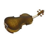 Standard Violin 4/4 Violin Spruce Top Tiger Stripe(Violin Set 2)