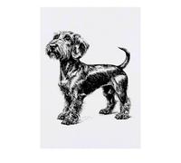 'Standard Wire-haired Dachshund Side View' Temporary Tattoo - Water Resistant, Skin-Safe, Non-Toxic Transfer (TO00081607)