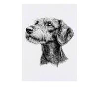'Standard Wire-haired Dachshund' Temporary Tattoo - Water Resistant, Skin-Safe, Non-Toxic Transfer (TO00081379)