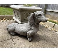 Standing Dachshund Stone Statue | Reconstituted Stone Puppy Dog Outdoor Garden Ornament Decoration