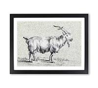 Standing Goat By Jean Bernard Vintage Framed Print | A2 Black Framed Wall Art | Ready to Hang | Classic Animal Picture | Living Room Bedroom Lounge Office
