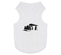 'Standing Stones' Pet Dog/Cat T-Shirt (PT00061792)