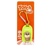 Stands Out, Supplying Outstanding Gifts James Name Monkey Boys Green Novelty Personalised Mini LED Toy Torch Carabiner Clip
