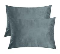 StangH Stone Blue Velvet Pillowcase Bed Pillow Covers, Set of 2