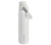 STANLEY 1913 Iceflow Fast Flow Sports Water Bottle 0.6L - Keeps 10 Hours Cold - Lightweight Thermal Flask - Dishwasher Safe - Leakproof And Fast Flow Lid - BPA-Free - Insulated Water Bottles - Frost