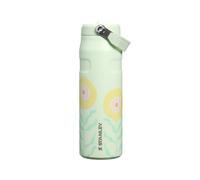 Stanley 1913 Flip Straw Sports Water Bottle 0.7L - Honeydew Garden