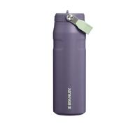 Stanley 1913 Flip Straw Sports Water Bottle 0.7L - Purple Umbra
