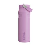 Stanley 1913 Flip Straw Sports Water Bottle with Straw 0.7L - 10 Hours Cold - 3 Days Iced - Stainless Steel - BPA Free - Leak Resistant - Fits in Cup Holder - Dishwasher Safe - Lilac