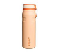 Stanley 1913 Flip Straw Sports Water Bottle with Straw 0.7L - 10 Hours Cold - 3 Days Iced - Stainless Steel - BPA Free - Leak Resistant - Fits in Cup Holder - Dishwasher Safe - Orange Sherbet