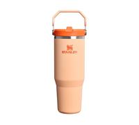 Stanley 1913 Flip Straw Tumbler 0.89L - Orange Sherbet | Keeps Cold For 12+ Hours - Easy To Carry - Dishwasher Safe - Stainless Steel Bottle With Straw