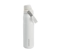 STANLEY 1913 IceFlow Fast Flow Sports Bottle 0.6L - Frost | Cold For 10 Hours - Leakproof Fast Flow Lid - Lightweight - BPA-Free - Dishwasher Safe