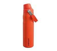 Stanley 1913 Iceflow Fast Flow Sports Water Bottle 0.6L - Keeps 10 Hours Cold - Lightweight Thermal Flask - Dishwasher Safe - Leakproof And Fast Flow Lid - BPA-Free - Insulated Water Bottles-Tigerlily
