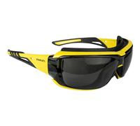 Stanley Safety Glasses Gasket SYE15-21D EU – Smoke