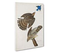 Stanley Hawks by John James Audubon Canvas Print | Gallery Wrapped 30mm Frame Wall Art | 30x20 inches | Ready to Hang | Modern Bird Picture | Living Room Bedroom Lounge Office
