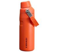 Stanley IceFlow Fast Flow Water Bottle 16 OZ | Angled Spout Lid | Lightweight & Leakproof for Travel & Gym | Insulated Stainless Steel | BPA-Free | Tigerlily Plum