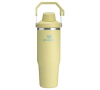 Stanley IceFlow 2.0 Fast Flow Tumbler with Handle 30 oz | Twist On Angled Spout Lid | Leakproof Water Bottle | Insulated Stainless Steel | BPA-Free |