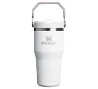 Stanley IceFlow 2.0 Flip Straw Tumbler with Handle 20 oz | Twist On Lid and Flip Up Straw | Leakproof Water Bottle | Insulated Stainless Steel | BPA-Free | Frost